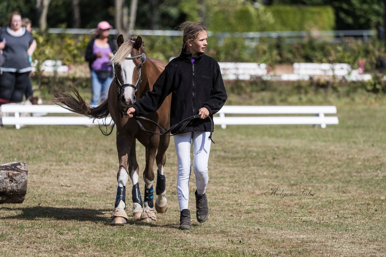 Bild 15 - Pony Akademie Turnier